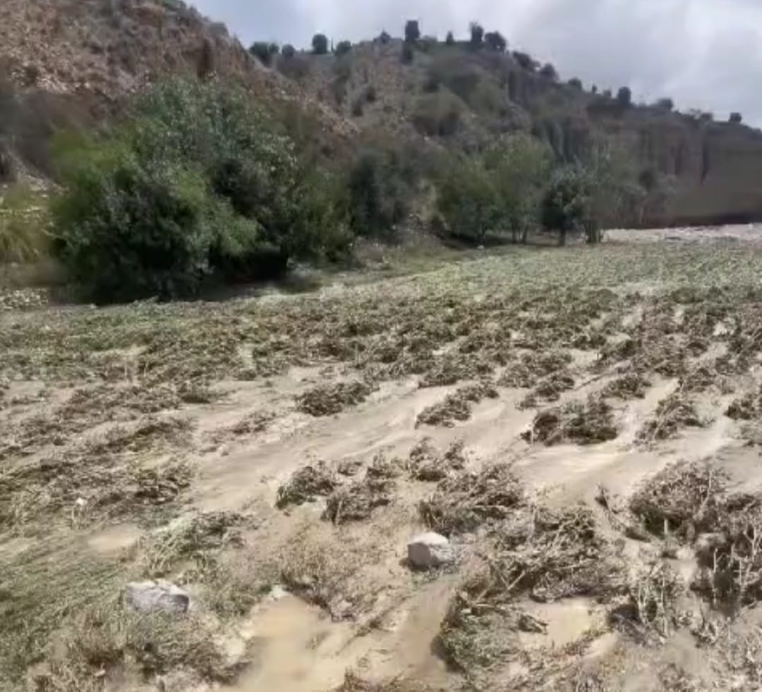 جنوبی وزیرستان میں بھی سیلاب نے کروڑوں روپے کی فصلیں اور زمینیں تباہ کر دی
