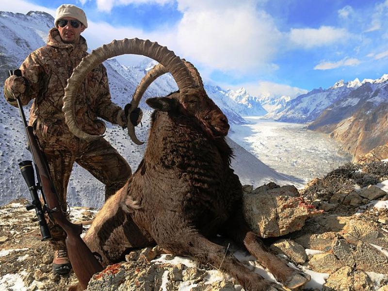 خیبرپختونخوا: ٹرافی ہنٹنگ پروگرام 2026 سے کتنی آمدن کا اعلان کیا گیا ہے؟