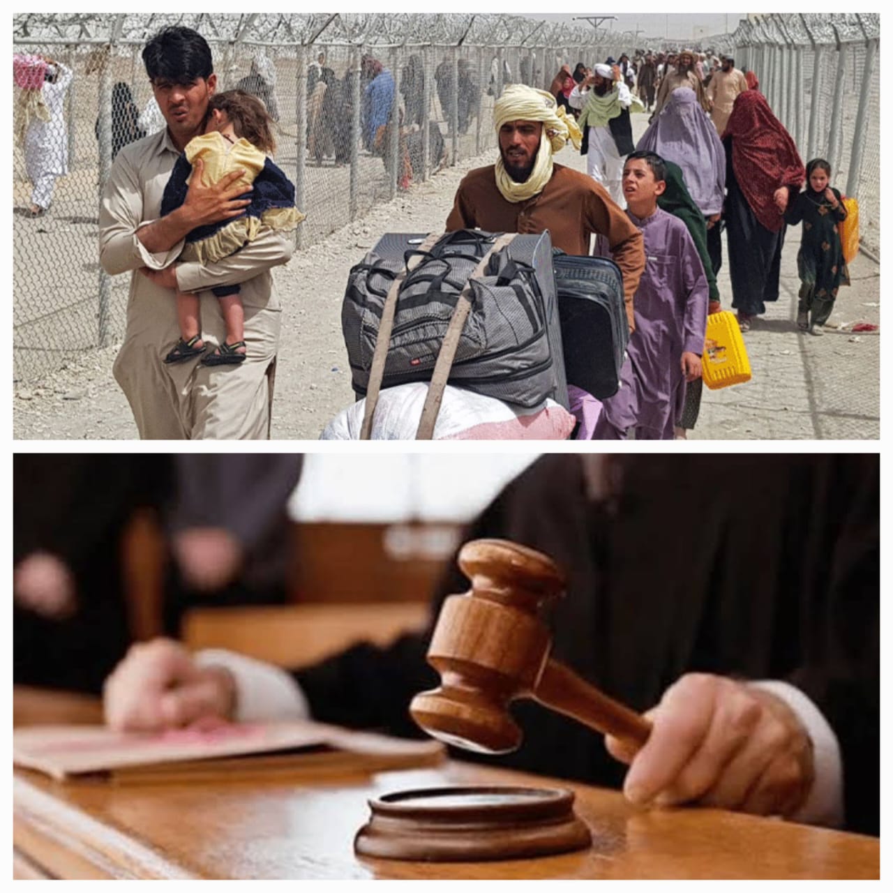 پشاور ہائی کورٹ نے 51 افغان مہاجرین کی ملک بدری روک دی، شہریت کے تعین کا نیا طریقہ کار بنانے کا حکم