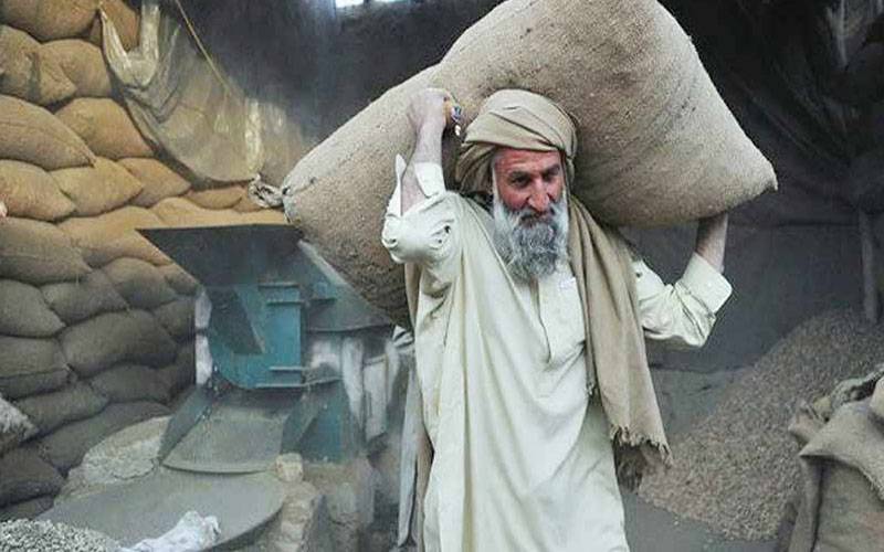 خیبر پختونخوا میں مزدور کی ماہانہ تنخواہ 40 ہزار روپے مقرر، مگر عملدرآمد  کتنا ؟