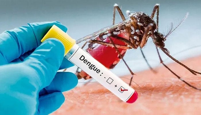 خیبرپختونخوا: ڈینگی کی وبا پھر سے بڑھ گئی، نئے درجنوں کیس رپورٹ