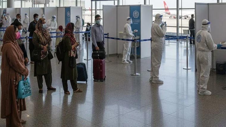 نیپا وائرس کیا ہے اور پاکستان میں اس کے پیش نظر الرٹ کیوں جاری کیا گیا؟