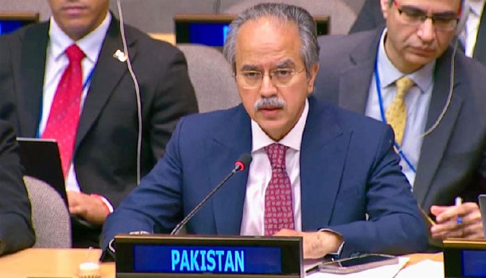 پاکستان میں دہشت گردی کے لیے افغان سرزمین استعمال ہو رہی ہے، عاصم افتخار