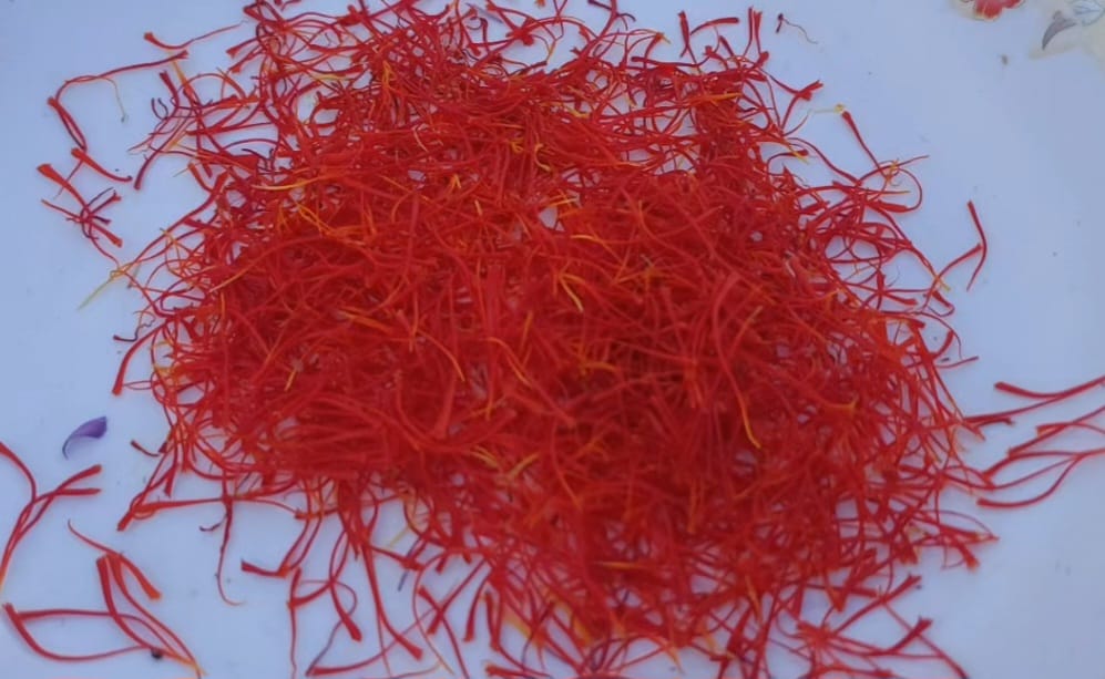 موسمیاتی تبدیلیوں کے پیش نظر: زعفران نے خیبرپختونخوا کے کسانوں کی حکمت عملی بدل دی