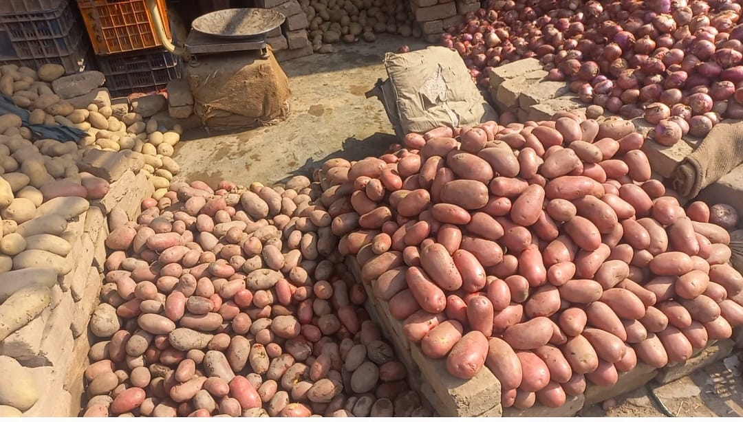پشاور: آلو صرف 30 روپے کلو، عوام خوش مگر زمیندار کیوں پریشان ہیں؟