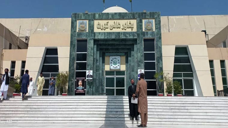 پشاور ہائی کورٹ: چوہوں کے کاٹنے کے کیس میں عدالت نے حکومت سے کیا جواب مانگا؟