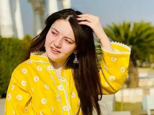 ٹک ٹاکر ثناء یوسف قتل کیس: ملزم نے عدالت میں اہم مؤقف اختیار کر لیا
