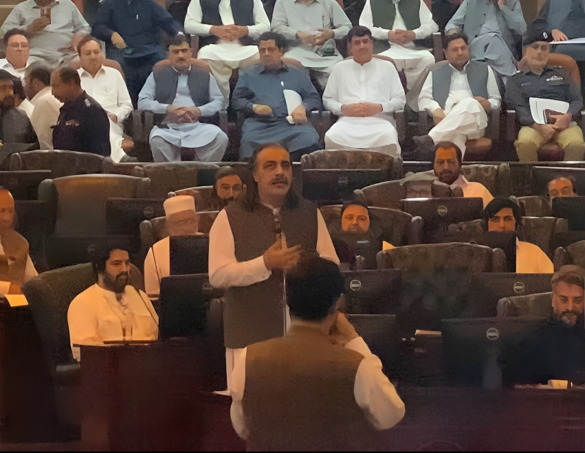 بجٹ اجلاس میں علی امین گنڈاپور نے اپنی ہی حکومت سے کون سے سخت سوالات پوچھ لیے؟