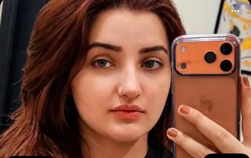 ٹک ٹاکر گیلامنہ قتل کیس: جنوبی وزیرستان سے تعلق رکھنے والا ملزم گرفتار