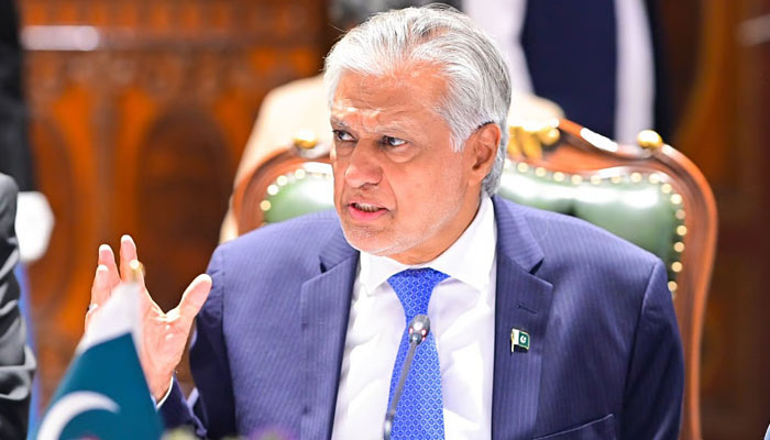 افغانستان میں دو درجن سے زائد دہشت گرد گروہ موجود ہیں، جو علاقائی اور عالمی امن کے لیے خطرہ ہیں: اسحاق ڈار