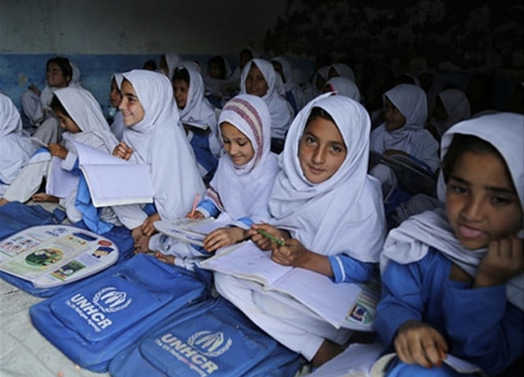 جن اساتذہ نے افغان بچوں کو برسوں پڑھایا، اب ان کے روزگار کا کیا ہوگا؟