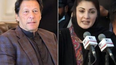 مریم نواز کے بارے میں عمران خان کے بیان پر کھلبلی مچ گئی