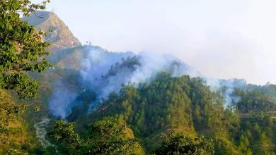 شانگلہ اور بونیر کے جنگلات میں آگ لگنے کے واقعات، ریسکیو اہلکار سمیت پانچ افراد جاں بحق
