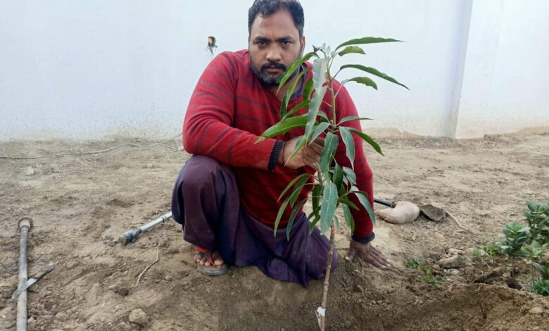 شجر دوست: ایک لاکھ 13 ہزار سے زائد پودے لگانے والے خضر چشتی کا دوسرا نام