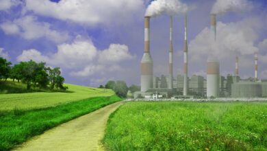 ماحولیاتی آلودگی کی پانچ اہم وجوہات