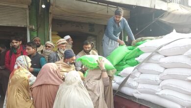 پاکستان میں گندم کی پیداوار میں اضافہ، کیا عوام کو آٹا سستا ملے گا؟