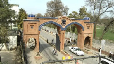 پشاور یونیورسٹی، بی ایس پروگرامز میں طلبا کے داخلوں میں کمی